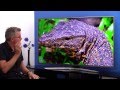 Video review Samsung UE50JU6800