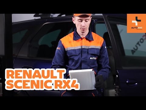Ka nomainit RENAULT SCENIC RX4 salona filtrs PAMACIBA | AUTODOC