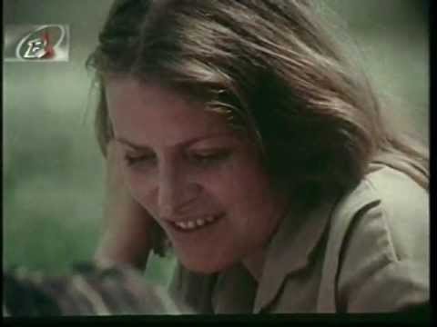 Umbrele soarelui (1986)