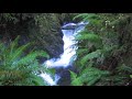 Concentration Alpha Super Focus Binaural Beat + Waterfall Music 30m