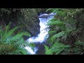 Concentration Alpha Super Focus Binaural Beat + Waterfall Music 30m