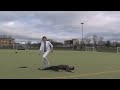 Forrest Gump in One Minute, in One Take