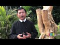 Thứ Ba 02.10.2018: CHỚ KHINH THƯỜNG AI