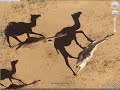 Secret Places In GOOGLE EARTH!!!