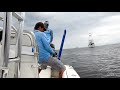 Let's Catch Some Giant Groupers - ft. Chew On This