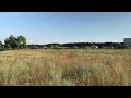 июль