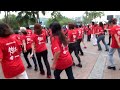 ROCK AROUND THE CLOCK - FLASH MOB - LINE DANCE