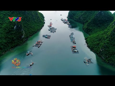 5 địa danh Việt Nam lọt top du lịch bụi 2020
