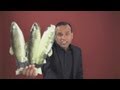 One Pound Fish Man debuts new song Beautiful