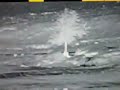 WIKILEAKS -VIDEO-