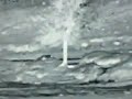 WIKILEAKS -VIDEO-