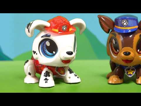 paw patrol build a bot skye