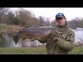 Stalking Big Brown Trout - Fly Fishing Lechlade