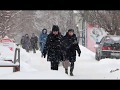 С 15 февраля начали работу участковые избирательны