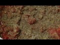 Beef Recipes - How to Make Spaghetti Sauce with Ground Beef