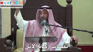 985 - نصاب زكاة الإبل - عثمان الخميس - دليل الطالب