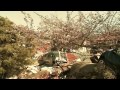 Aftermath of the 2011 Tohoku Earthquake and Tsunami