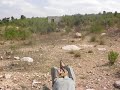 My Edited Video