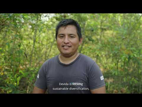 Testimonios a cultivos alternativos a la hoja de coca: Técnico de DEVIDA