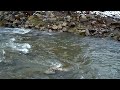 Dancing in the Meadows ~ Jason Ward New Age Music Video Traditional Time Celtic Folk Dance 720p HD