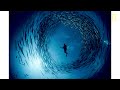 Proof: David Doubilet on the World Beneath the Surface