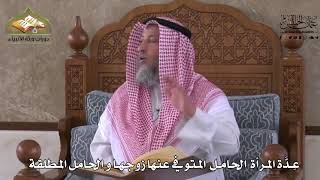 894 - عدّة المرأة الحامل المتوفي عنها زوجها و الحامل المطلقة - عثمان الخميس