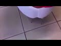 رقص اغراء رقص ب الفيزون الابيض ي جنن اخر حاجة