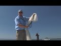 Awesome Jack Crevalle Fishing! Chew On This