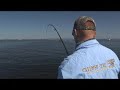 Awesome Jack Crevalle Fishing! Chew On This