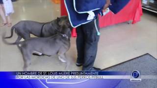 Se presume que un hombre de St Louis murió por mordidas de su perro Pitbull