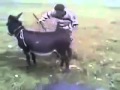 essek ile adam