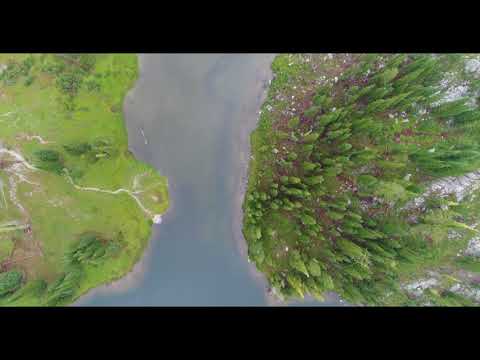 Main Page Video