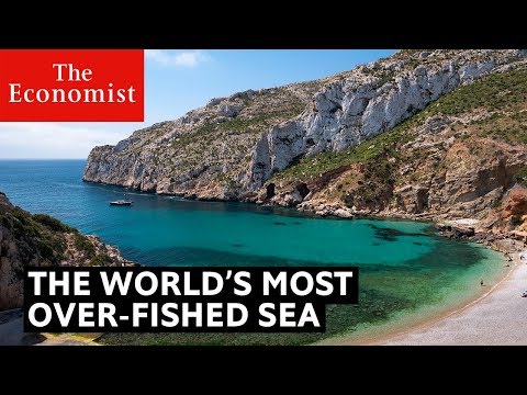 This is the most over-fished sea in the world | The Economist