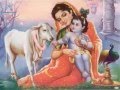 Jai Janardhana Krishna