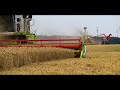 Wielkie Żniwa 2015 | 5 x Lexion | 5 x New Holland