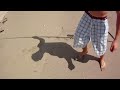Kyle's Huge Jack Crevalle