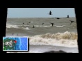 Hurricane Sandy impacts Lake Erie Islands