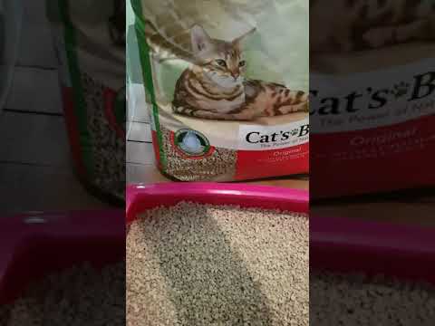 Opiniones sobre Cat's Best Original - arena vegetal aglomerante para gatos