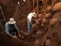 Ants subterranean structures revealed!!!!?!