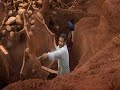 Ants subterranean structures revealed!!!!?!