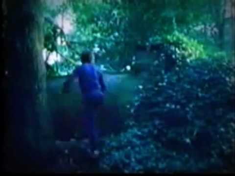 Скачать песню i am your leader