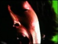 GRAPEVINE - Reverb