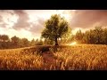 ► Everybodys Gone to the Rapture - The Movie All Cutscenes HD