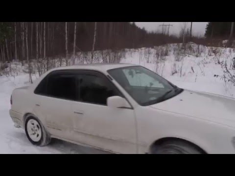 Пузотёрка 3