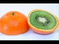 Manipolazioni genetiche e alimentazione 2012