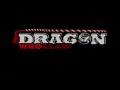 Grzegorz Koprowski HL Dragon Wrocław