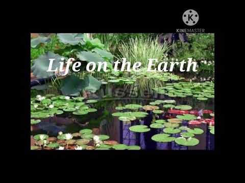 Geography Ch-6 Life on the Earth Class VII (Part 1)