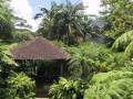 MARTINIQUE