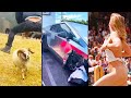 Ozzy Man Reviews Mega Compilation #17