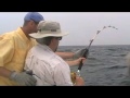 Sharking - June 26, 2008